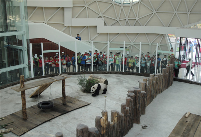 5e742df5ae4f0.jpg c1126254c3e59de7553d52b38570bbc9.jpg